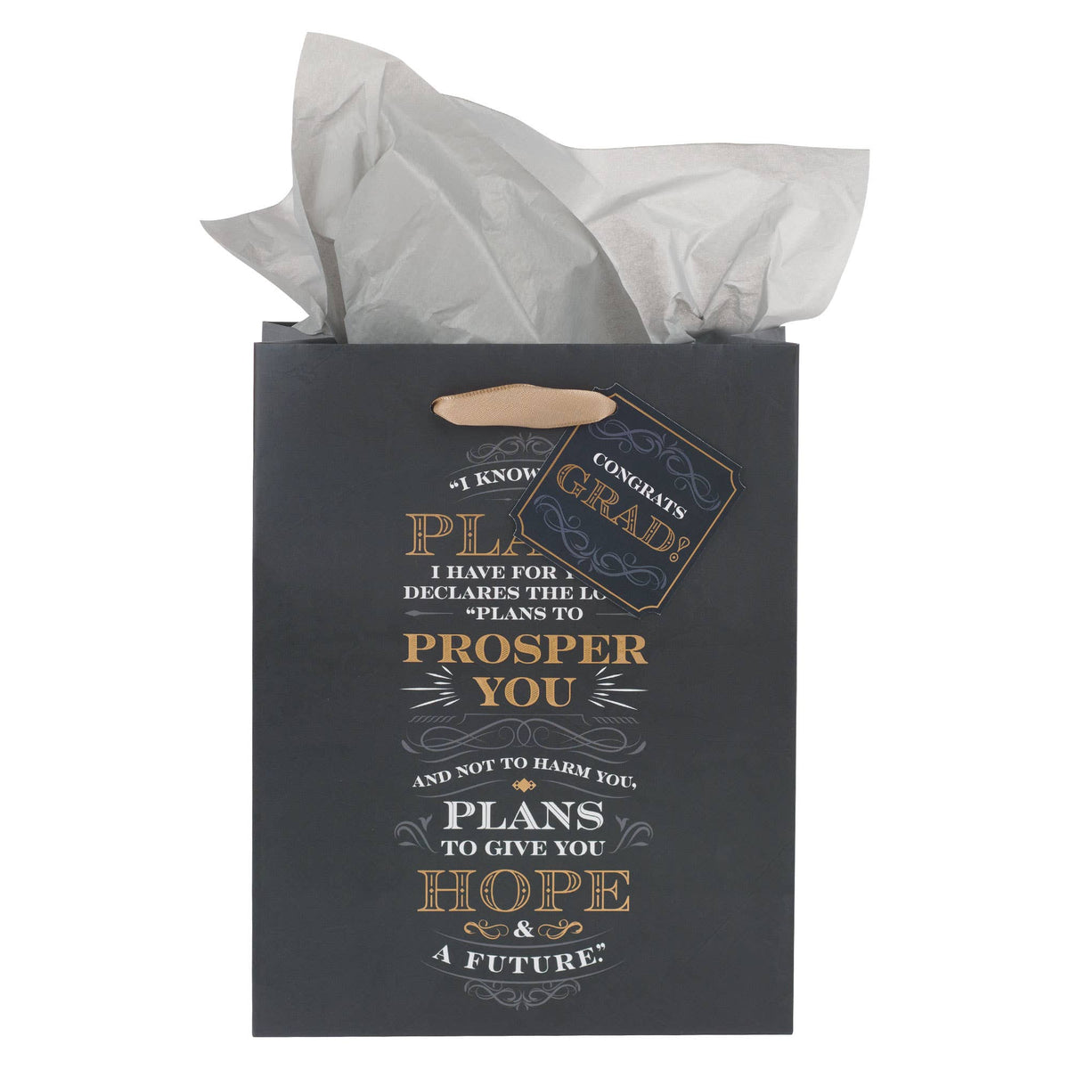 Gift Bag Medium I Know the Plans Jer. 29:11